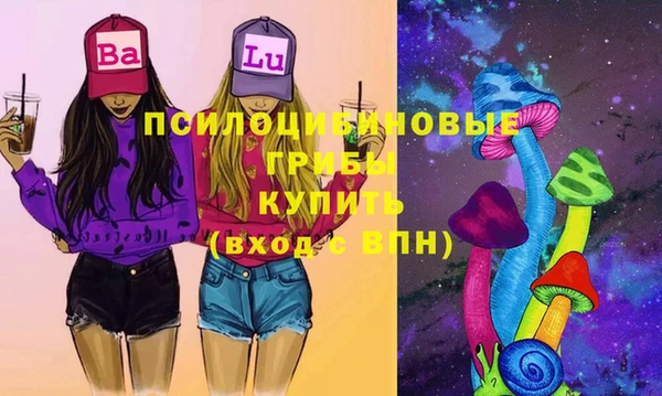 меф Анива