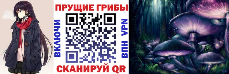 закладки  Шадринск  ОМГ ОМГ зеркало  Псилоцибиновые грибы Magic Shrooms 